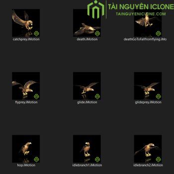 Gói iClone Bộ sưu tập chim, gà, vịt
