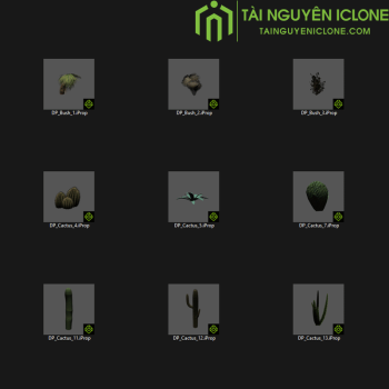 Gói iClone Thực vật sa mạc