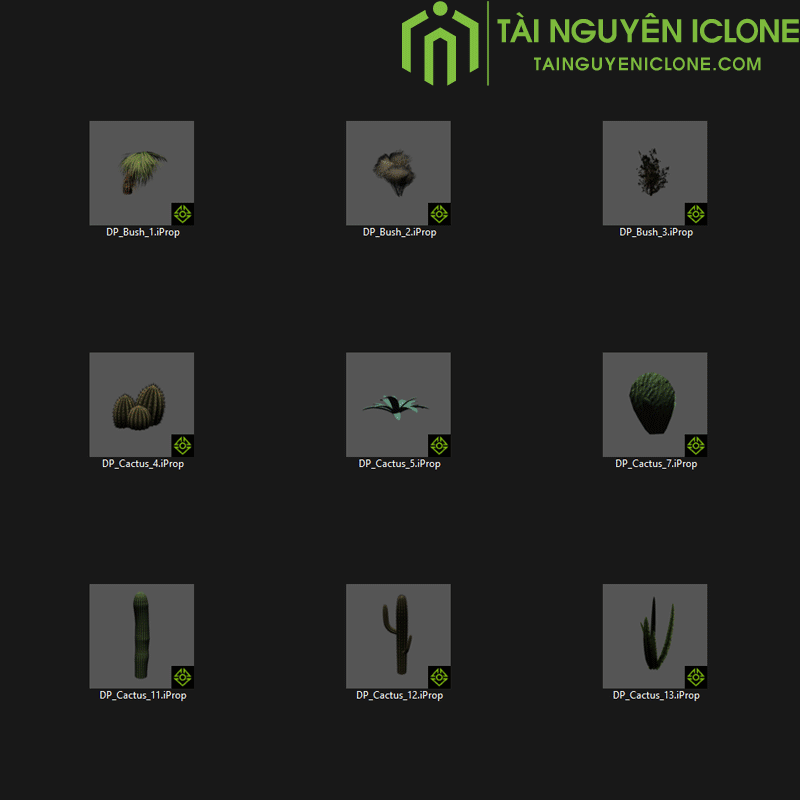 Gói iClone Thực vật sa mạc