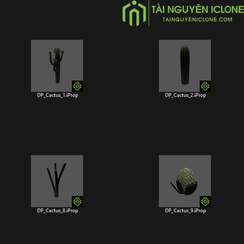 Gói iClone Thực vật sa mạc