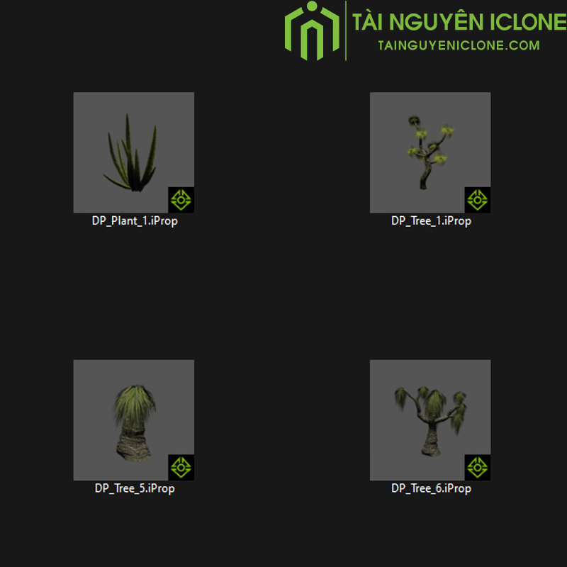 Gói iClone Thực vật sa mạc