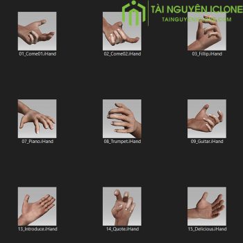 Gói iClone Các cử chỉ tay