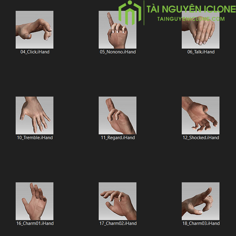 Gói iClone Các cử chỉ tay