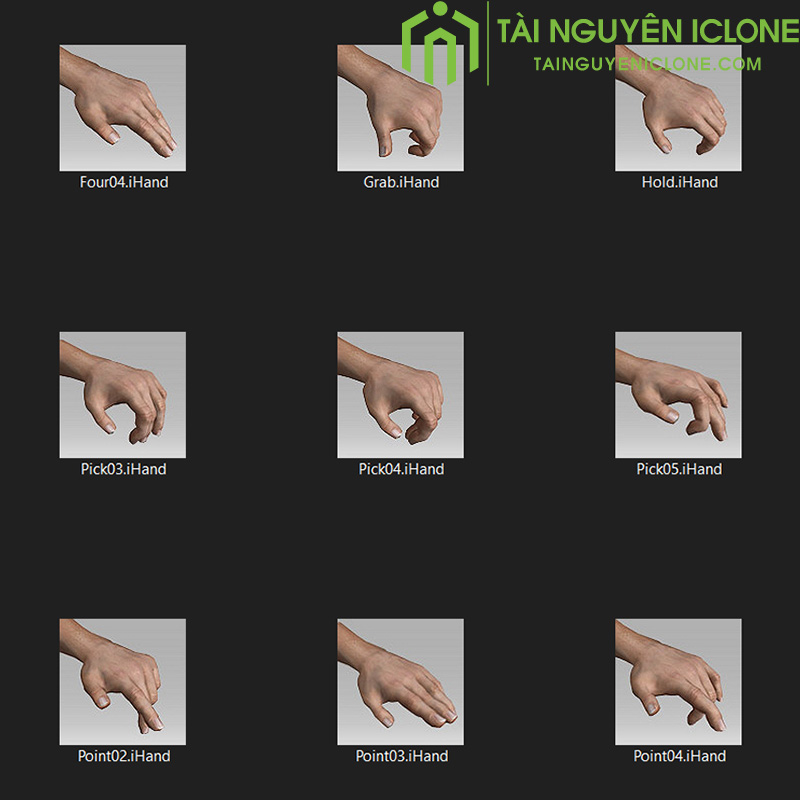 Gói iClone Các cử chỉ tay