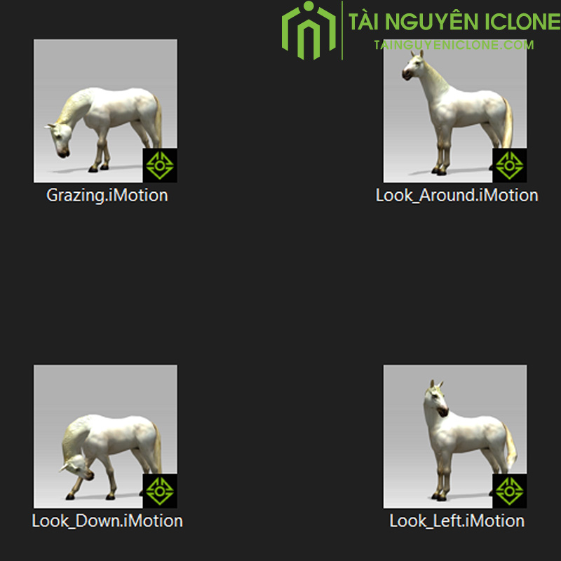 Gói iClone Chủ đề ngựa