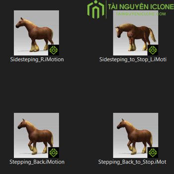 Gói iClone Chủ đề ngựa