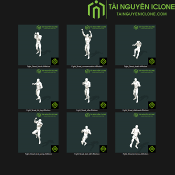 Gói iClone Đánh nhau đường phố TNIC