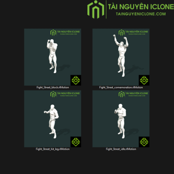 Gói iClone Đánh nhau đường phố TNIC