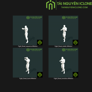Gói iClone Đánh nhau đường phố TNIC