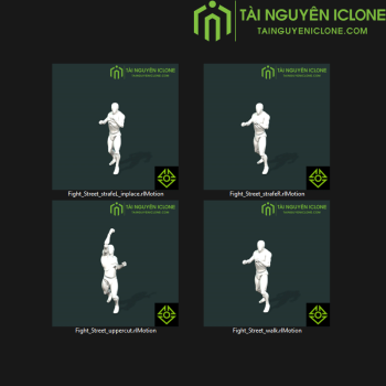 Gói iClone Đánh nhau đường phố TNIC