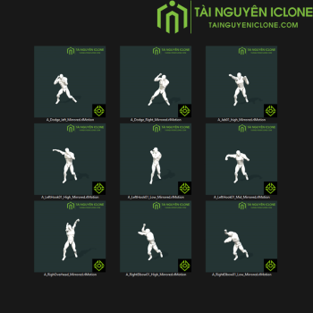 Gói iClone Hành động đánh đấm TNIC