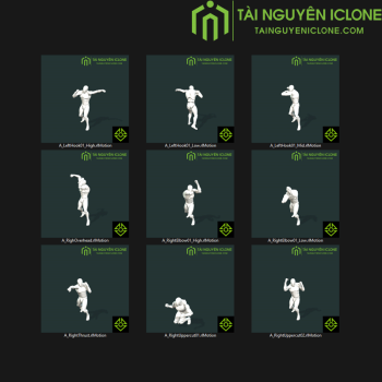 Gói iClone Hành động đánh đấm TNIC