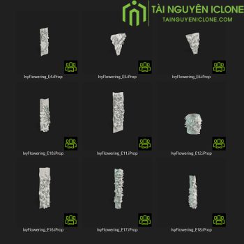 Gói iClone Khu cây thường xuân