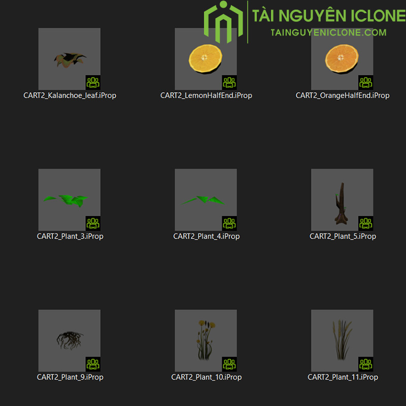 Gói iClone Làng hoạt hình 2