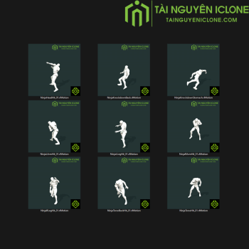 Gói iClone Phản ứng cận chiến TNIC