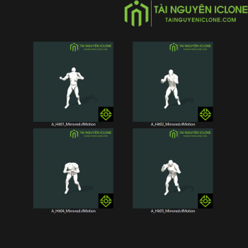 Gói iClone Hoạt hình đánh đấm TNIC
