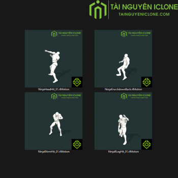 Gói iClone Phim hoạt hình cận chiến TNIC