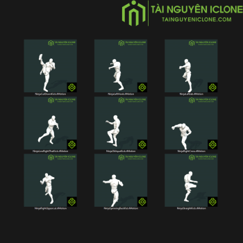 Gói iClone Tấn công cận chiến TNIC