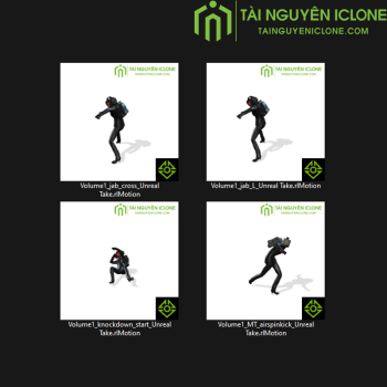 Gói iClone Võ thuật cơ bản TNIC