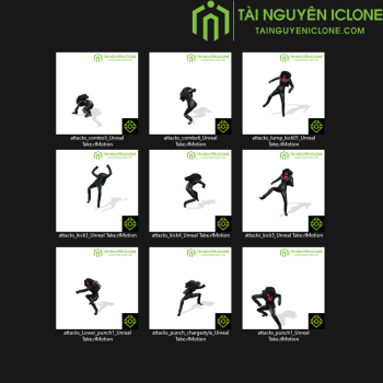 Gói iClone Trò chơi võ thuật TNIC