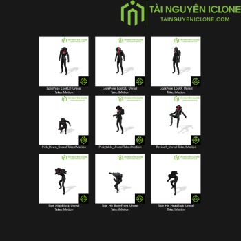 Gói iClone Võ thuật năng cao TNIC
