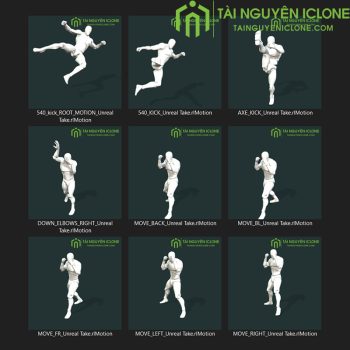 Gói iClone Đấm bốc và Muay Thái V2