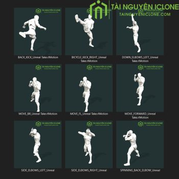 Gói iClone Đấm bốc và Muay Thái V2