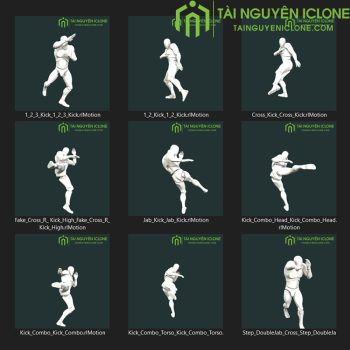Gói iClone Muay Thái chuyên nghiệp