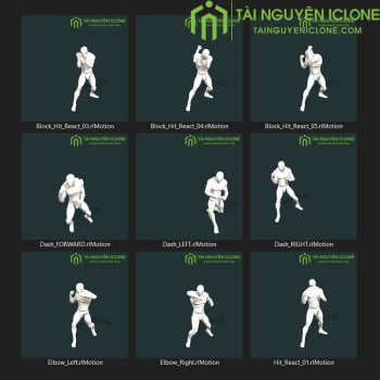 Gói iClone Thế võ thuật 01