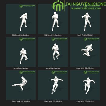 Gói iClone Thế võ thuật 01