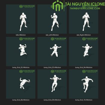 Gói iClone Thế võ thuật 01