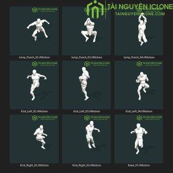 Gói iClone Thế võ thuật 01