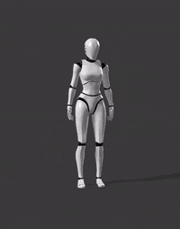 AED Performer