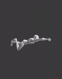 Airborne Attack Opponent