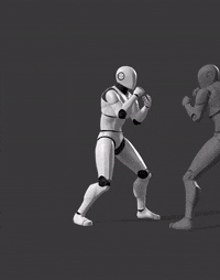 B2-Attack-Front Kick