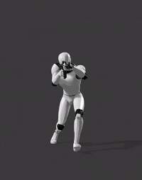 C08 Run F Attack Loop