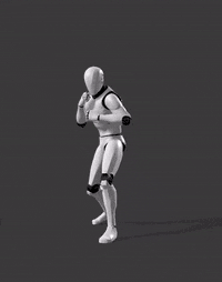 Downward Front Kick R