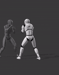 F4-Attack-Throw Kick