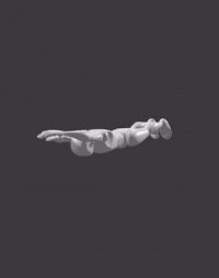 Fish Kick (SLE)