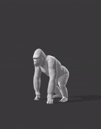 Flee Back Look