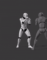 G1-Attack-Push Kick