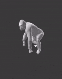Glide Down