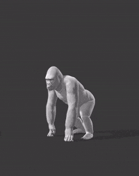 Gorilla Idle
