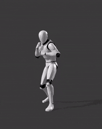 Knee Strike L