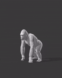 Quick Look Walk