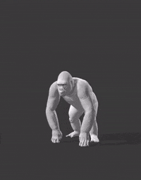Rough Run