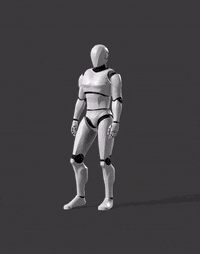 Routine Lunge Mic