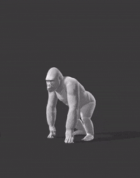 Run Dodge R