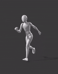 Run Fly
