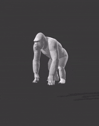 Run Jump Down